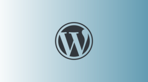 WordPress Seiten vs. Beiträge: Die Einsteiger-Verwirrung